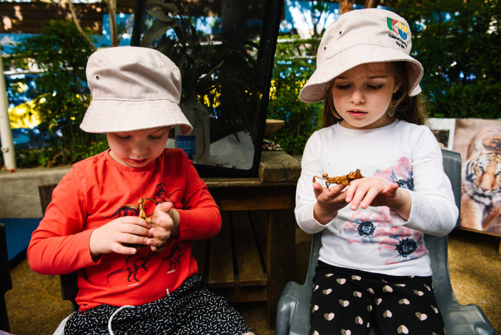 Children holding stick insects at KU Phoenix childcare