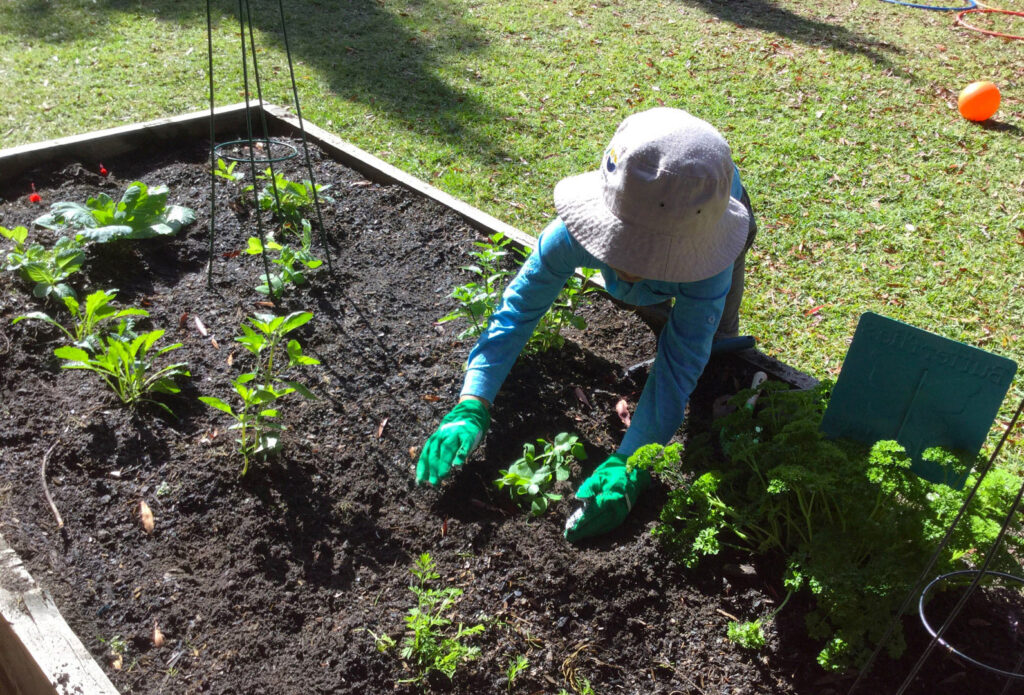 Child gardening at KU Isobel Plus Memorial childcare