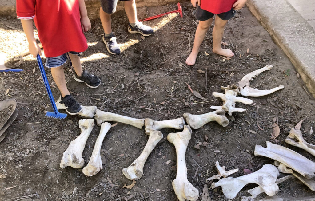 Children looking at fossils at KU Goulburn childcare