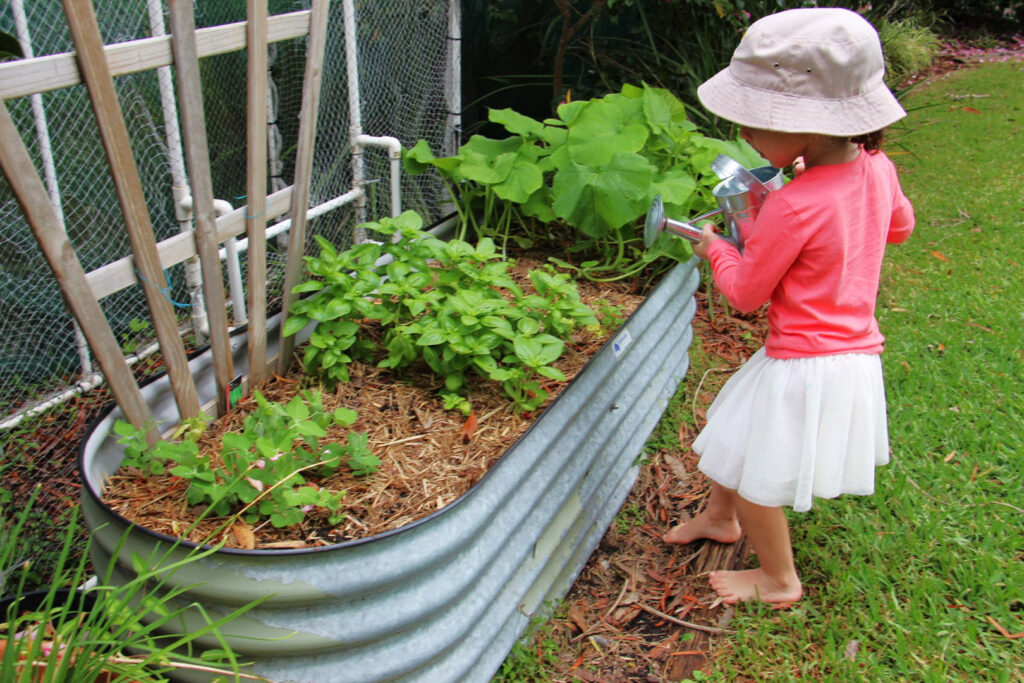 Child watering a herb garden at KU Killara Park childcare