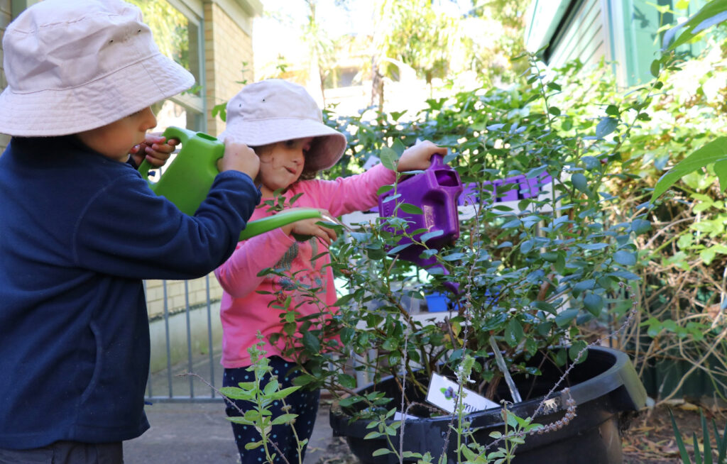 Children watering plants at KU Killarney Heights childcare