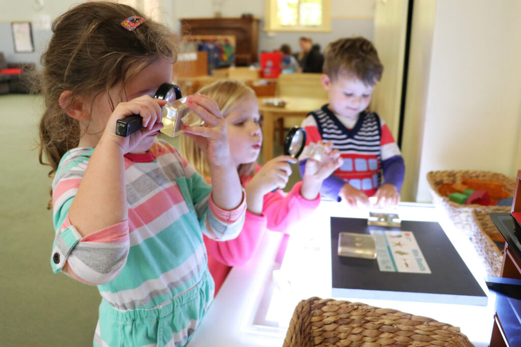 Children looking at insects through microscopes at KU Mosman childcare