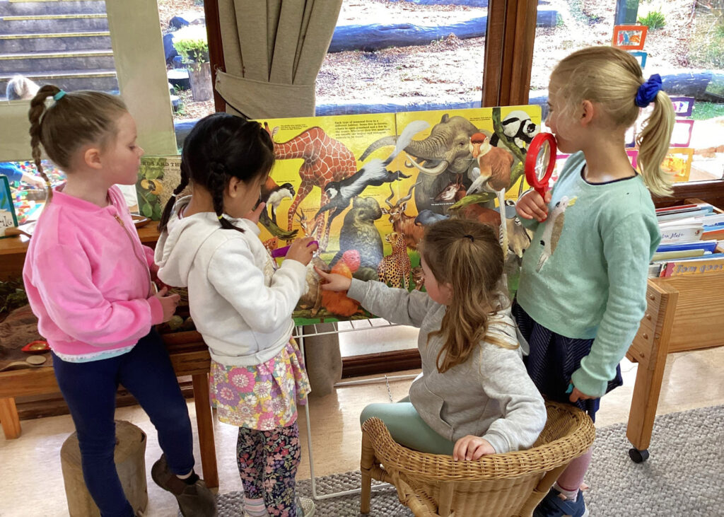 Children identifying animals at KU Donkin childcare