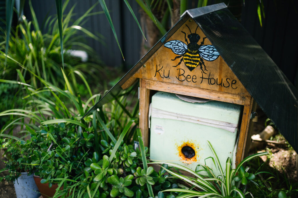 Bee house at KU Sutherland childcare