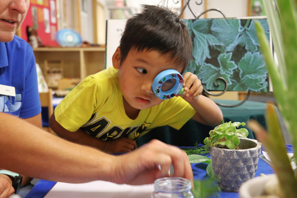 Child looking at a plant through a magnifying glass at KU Kookaburra childcare