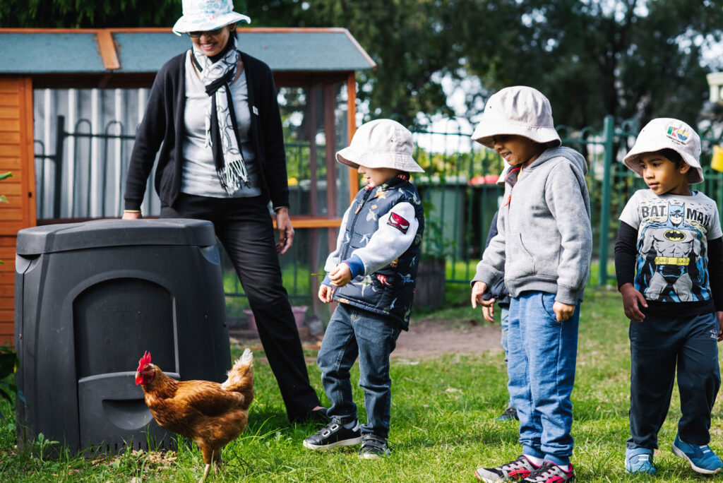 KU Westmead childcare educator and some children looking after a chicken