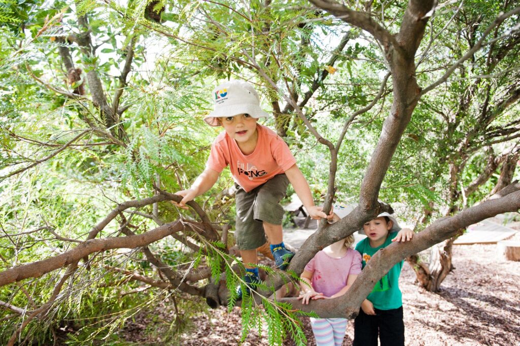 Children climbing trees at KU Wombarra childcare